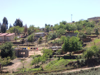 Quaqua