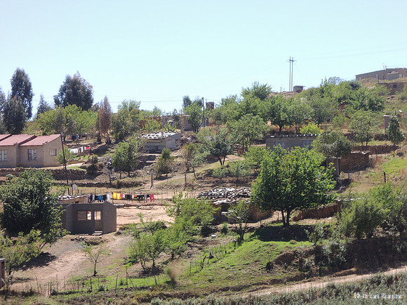 Quaqua